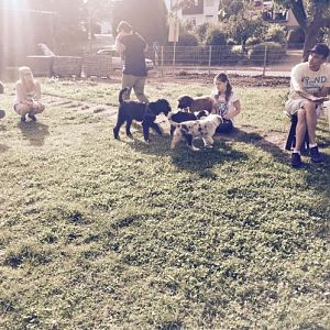 11782488 596535773783481 3966068153631532705 o