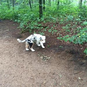 11791912 596729870430738 3410389511964035454 o(1)