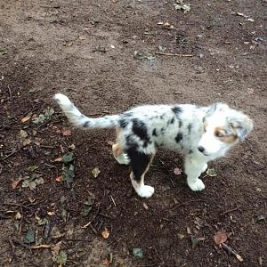 11794280 596729687097423 7448251763735616246 o