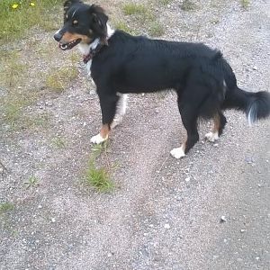 WP 20150805 17 12 44 Pro