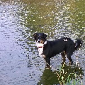 WP 20141006 17 11 57 Pro