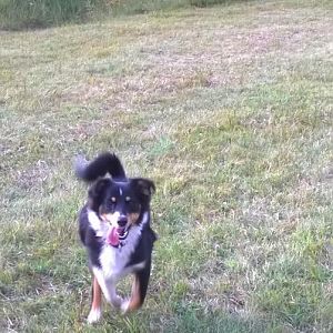 WP 20141006 16 56 53 Pro