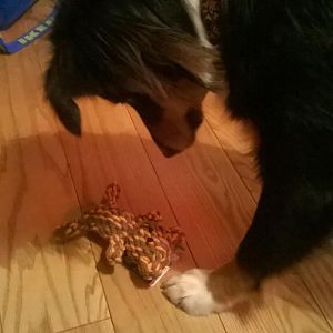 WP 20150509 21 06 36 Pro