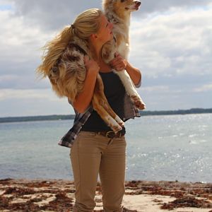 Eckernförde am Meer