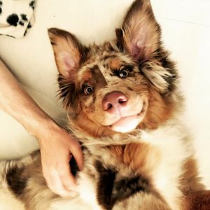 Always start your day smiling.