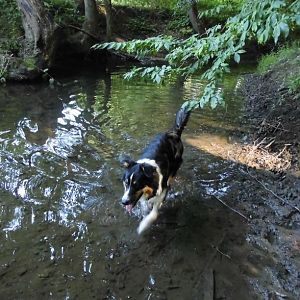 DSCI0542http://www.aussie.de/forum/album.php?albumid=1156&attachmentid=74031