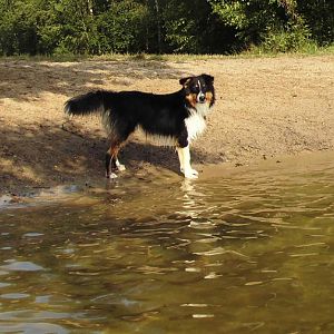 DSCI0610http://www.aussie.de/forum/album.php?albumid=1156&attachmentid=74032