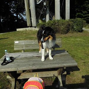 DSCI1180http://www.aussie.de/forum/album.php?albumid=1156&attachmentid=74038