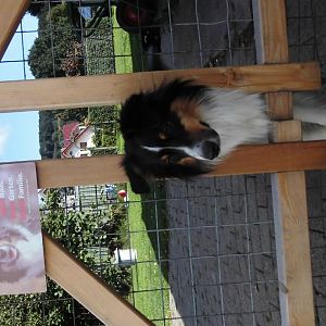 DSCI1222http://www.aussie.de/forum/album.php?albumid=1156&attachmentid=74039