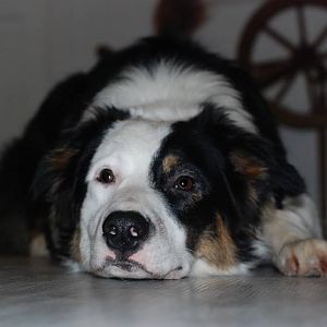 10410260 908743679156221 5129246707737433231 n