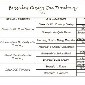 Boss des Costys Du Tomberg