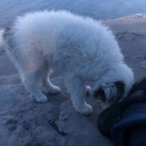 IMG 20160227 WA0001
