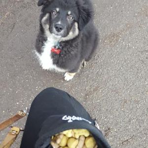 Screenshot 2016 02 21 12 46 37