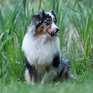 FB IMG 1463826452845