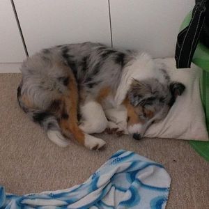 Sie braucht ein Kissen :D