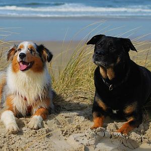 Etliche Versuche gebraucht :) Einfach toll geworden.