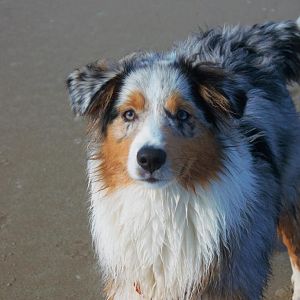 Strand, Sonne und Meer :) erster Dänemarkbesuch.