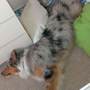 Lieblingsschlafposition :D