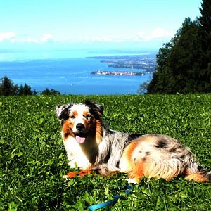 Urlaub am Bodensee mit Bergwanderung :)