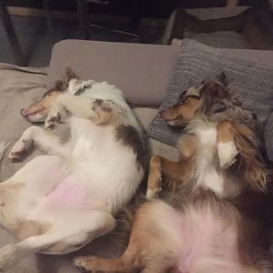 WhatsApp Image 2016 12 20 at 21.59.19