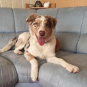 WhatsApp Image 2016 12 11 at 13.17.04