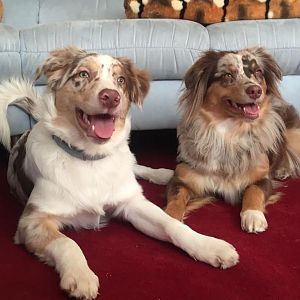 WhatsApp Image 2016 12 11 at 13.17.16