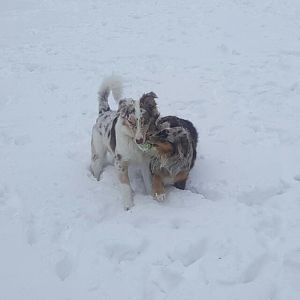 ERSTER URLAUB IM SCHNEE