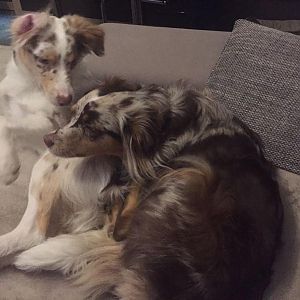 WhatsApp Image 2016 12 20 at 22.00.58