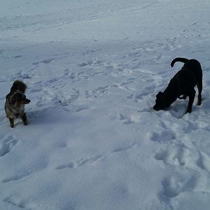 FAND ES SOOOO SCHÖN