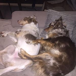 WhatsApp Image 2016 12 20 at 21.59.24(3)