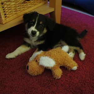 Erster Tag im neuen Zuhause