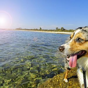 Da will er noch mal hin.