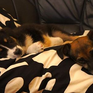 Neele und Jacky 
nach 4 Tagen =)
