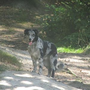 Wenn du einmal groß bist, wird alles dir gehören ,)