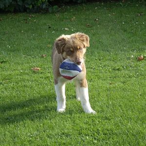 Randy mit seinem Lieblingsspielzeug