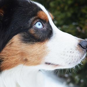 augekleinerve7dwg5lck