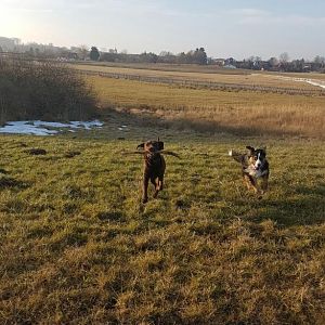 Mit der besten Freundin toben