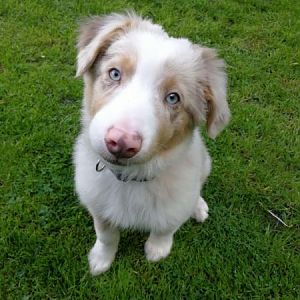 3EC47828 109E 4361 BFBD 36BCDD1EAA96