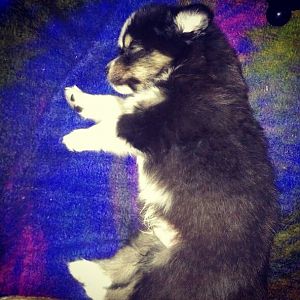 Und hier dann die 4 woche <3