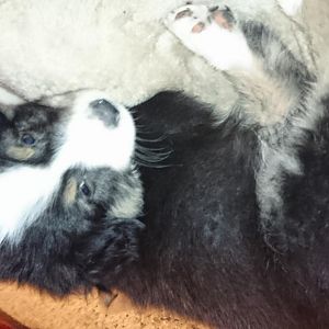 Nochmal vom selben tag. 7 wochen alt