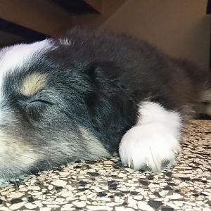 Zum dritten mal der selben tag <3