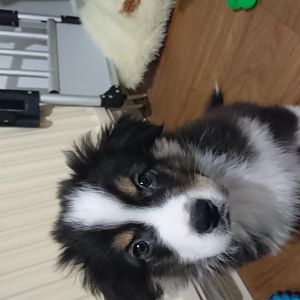 Wenn man eigentlich ein tolles foto machen will und der kleine nicht will