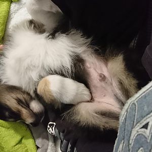 Bequem? Anscheinend schon <3