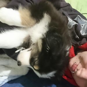 Egal was du mit mir machst, ich schlafe wie ein stein selfi.