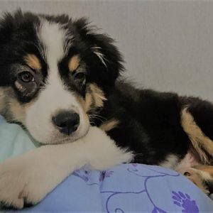 Wie, aufstehen? muss das sein?