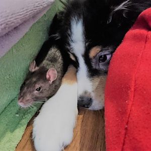 o.O *O* OMG du bist so besonders Gyde.