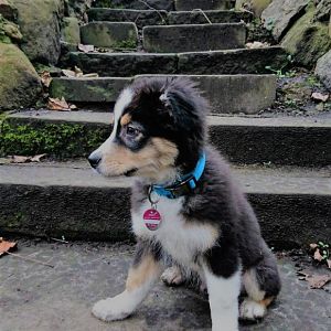 Ey, Ezreal. Ey du... 
SCHAU MAL IN DIE KAMERA.


Er so: NOP