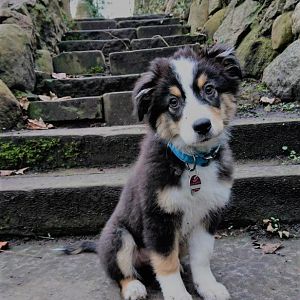 Na geht doch. einmal hats geklappt <3 Alles andere war einfach zu interessant.