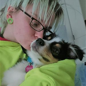 Frauchen muss dich ja unbedingt Knutschen. 
dieser blick xD 
o_____O