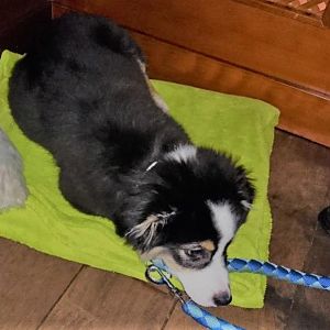 und auch Restaurants sind keine Probleme, solange man mit ner decke rumliegen kann <3